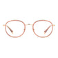 Polaroid Gold Polyamide Glasses (Frames)