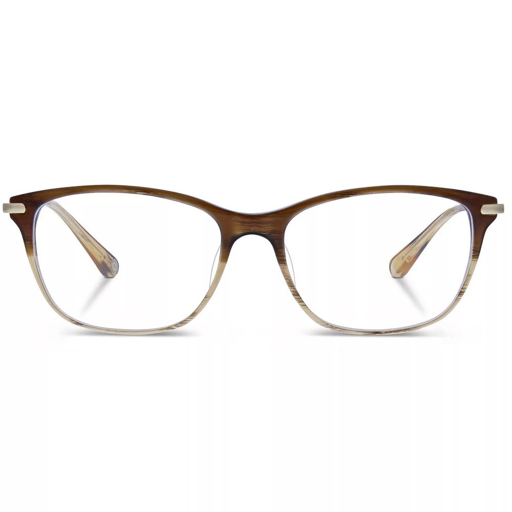 Röst Brown Titanium Glasses (Frames)