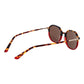 Replay Brown Plastic Sunglasses