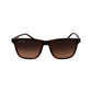 Lacoste Brown Injected Sunglasses