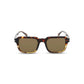 Police Brown Acetate Sunglasses
