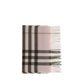 Burberry Multicolor Cashmere Scarf