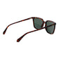 Polaroid Brown Polycarbonate Sunglasses