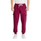 Icon Bordeaux Cotton Joggers (Workout Pants)