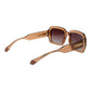 Polaroid Brown Polycarbonate Sunglasses