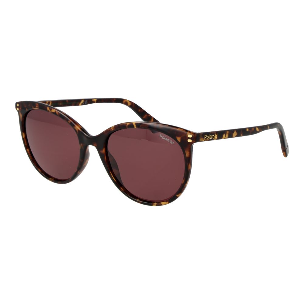 Polaroid Brown Polycarbonate Sunglasses