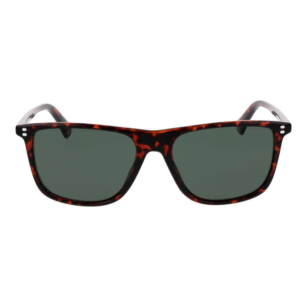 Polaroid Brown Polycarbonate Sunglasses