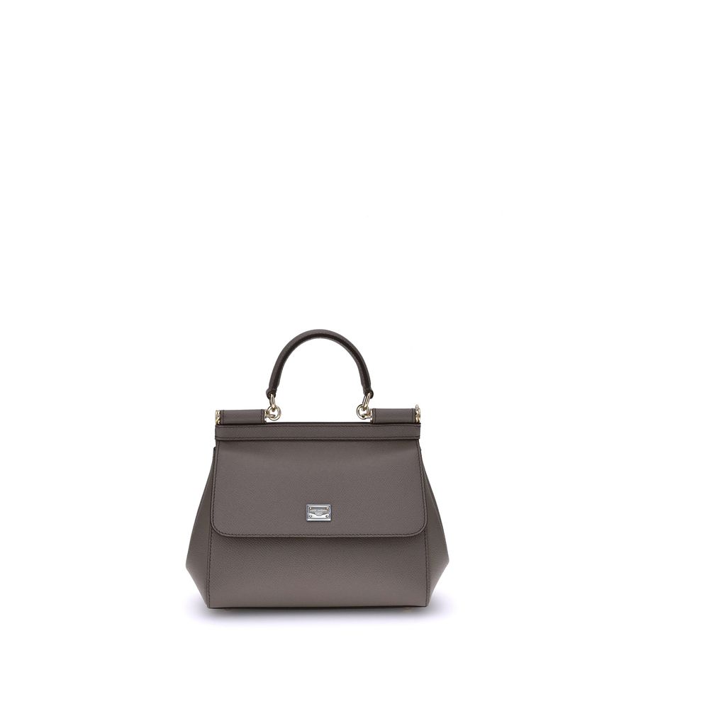 Dolce & Gabbana Gray Calf Leather Bos Taurus Handbag