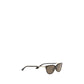Alexander McQueen Brown Acetate Sunglasses