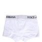Dolce & Gabbana White Logo Waistband Regular Boxer Underwear