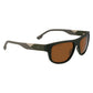 Lacoste Brown Injected Sunglasses