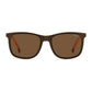 Carrera Brown Plastic Glasses (Frames)