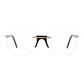 Andy Wolf Gold Metal & Plastic Glasses (Frames)