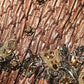 Dolce & Gabbana Brown Metallic Crystal Evening Gown Dress