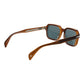 David Beckham Brown Acetate Sunglasses