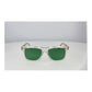 Web Transparent Acetate Sunglasses