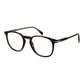 David Beckham Brown Acetate Glasses (Frames)