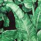 Dolce & Gabbana Black Green Banana Leaf Men Bermuda Shorts