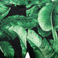 Dolce & Gabbana Black Green Banana Leaf Men Bermuda Shorts