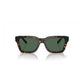 Arnette Brown Injected Sunglasses