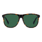 Polaroid Brown Polycarbonate Sunglasses