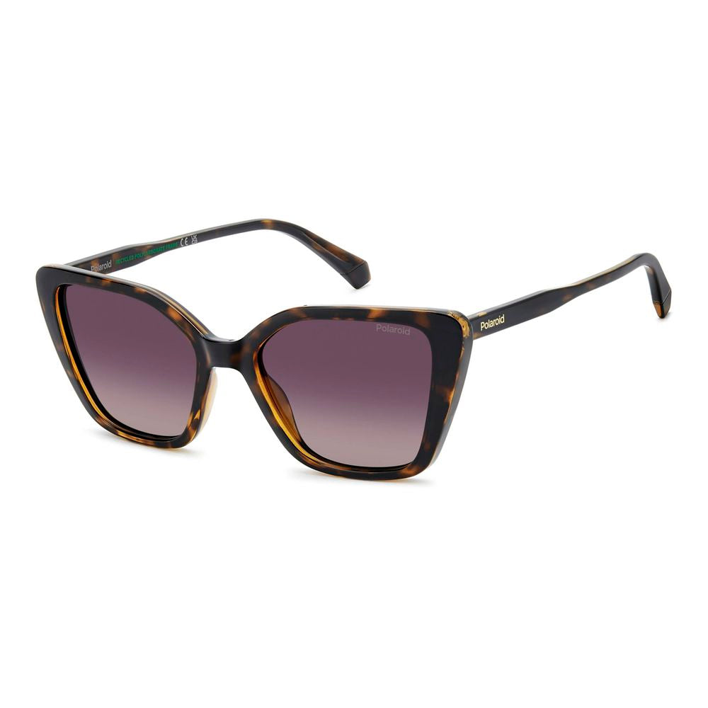 Polaroid Brown Polycarbonate Sunglasses