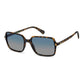 Polaroid Brown Polycarbonate Sunglasses