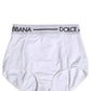 Dolce & Gabbana White Logo Waistband Coulotte Panty Underwear