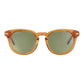 Serengeti Brown Resin Sunglasses
