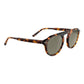 Serengeti Brown Resin Sunglasses