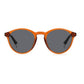 Polaroid Brown Polycarbonate Sunglasses