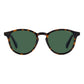 Polaroid Brown Polycarbonate Sunglasses