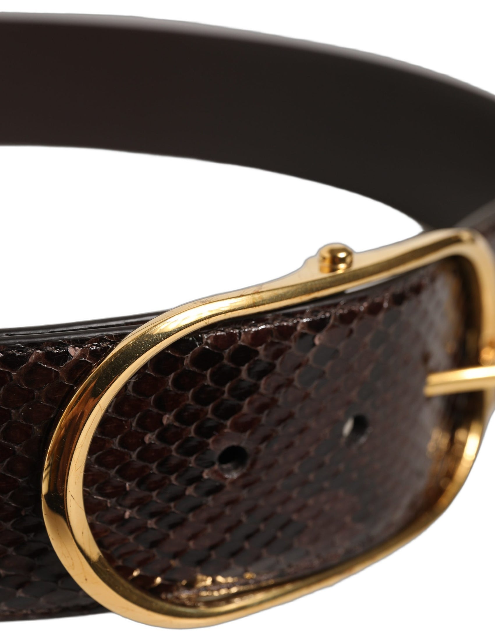 Dolce & Gabbana Brown Python Leather Gold Metal Buckle Belt