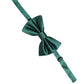 Dolce & Gabbana Men Green 100% Silk Adjustable Neck Papillon Bow Tie