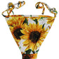 Dolce & Gabbana Bottom White Sunflower Nylon Beachwear Bikini