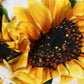 Dolce & Gabbana White Sunflower Print Bandeau Beachwear Bikini Top