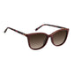 Tommy Hilfiger Burgundy Acetate Glasses (Frames)