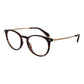 Polaroid Brown Titanium Glasses (Frames)