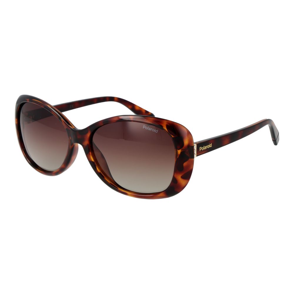 Polaroid Brown Plastic Sunglasses