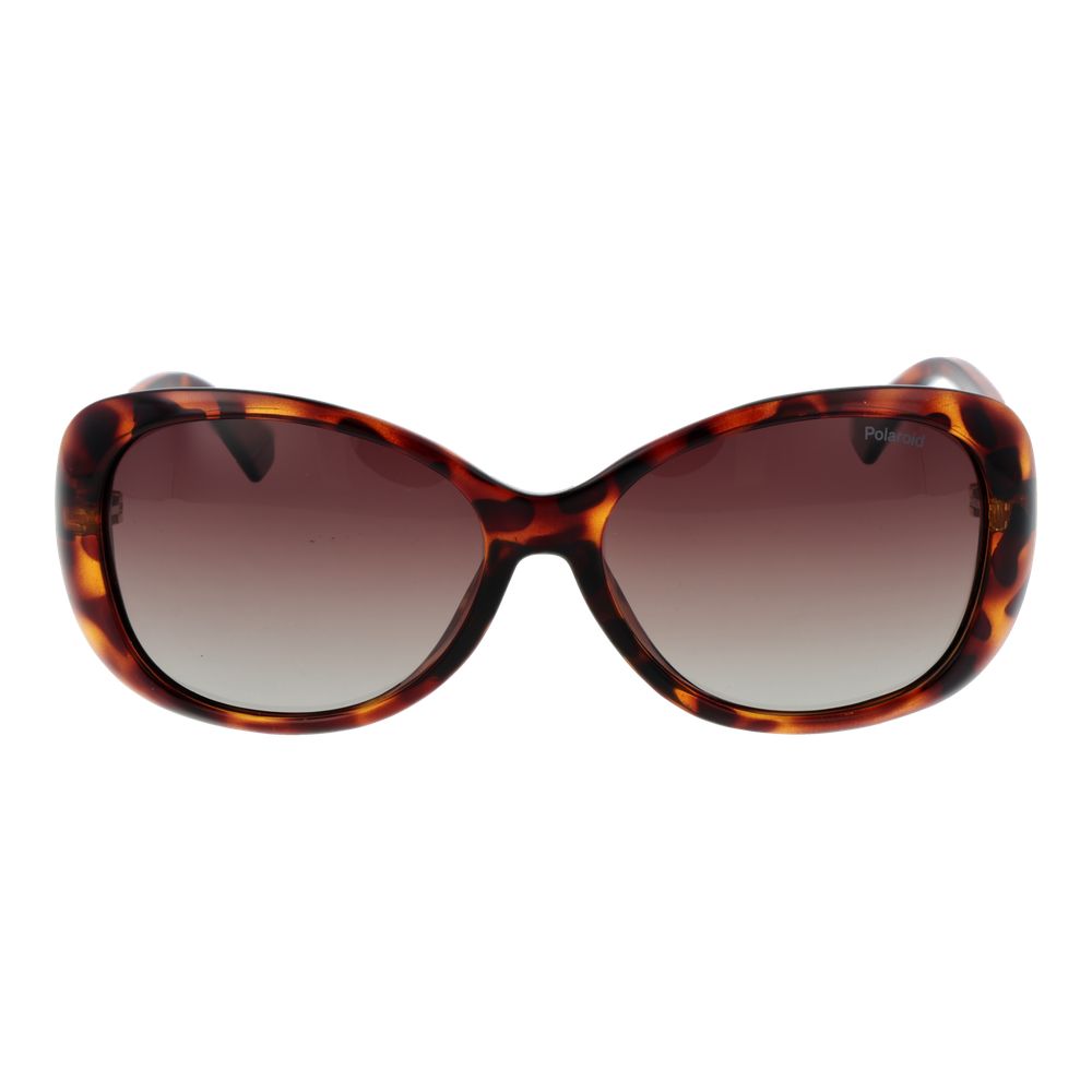 Polaroid Brown Plastic Sunglasses