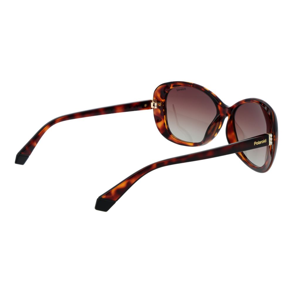 Polaroid Brown Plastic Sunglasses