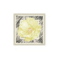 Liu Jo Gray Polyester Foulard
