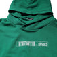Dolce & Gabbana Green DGVIB3 Cotton Hoodie Sweatshirt Sweater