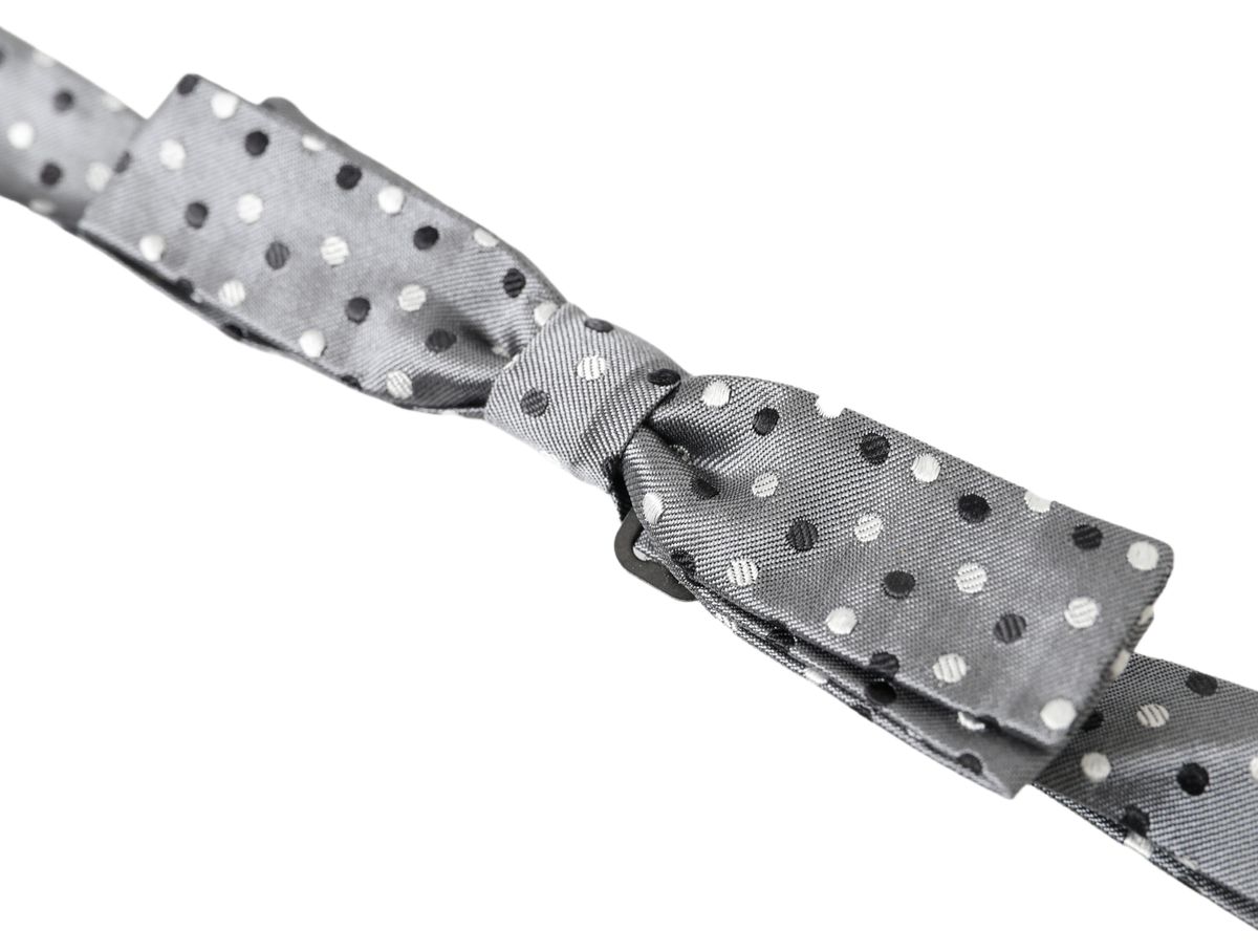 Elegante papillon grigio in seta