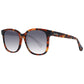 Brown Women Sunglasses