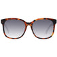 Brown Women Sunglasses