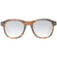 Brown Men Sunglasses