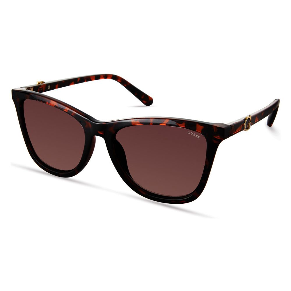 Brown Resin Sunglasses