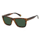 Brown Resin Sunglasses