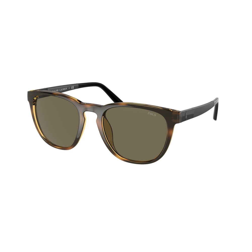 Brown Acetate Sunglasses